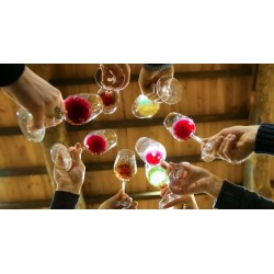 Programme Duo : Initiation à la dégustation et Découverte des accords mets et vins d'Arménie