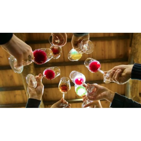 Programme Duo : Initiation à la dégustation et Découverte des accords mets et vins d'Arménie